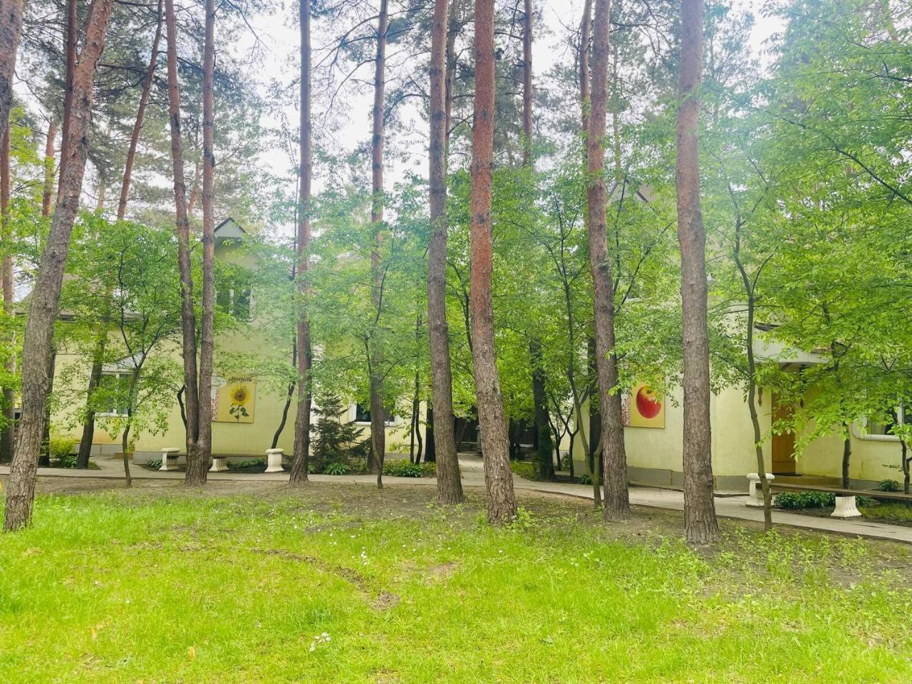 Hotel Ethno Complex Ukrayinske Selo Buzovaya Exterior foto